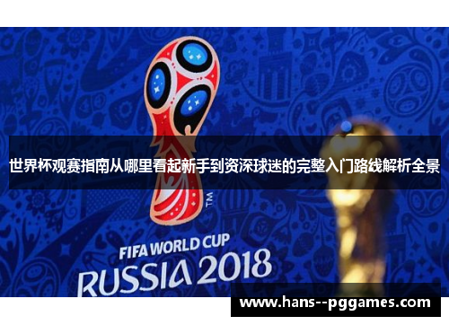 世界杯观赛指南从哪里看起新手到资深球迷的完整入门路线解析全景