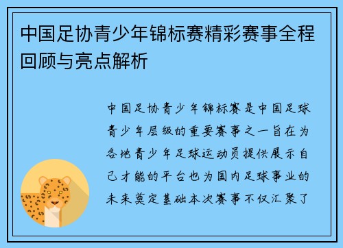 中国足协青少年锦标赛精彩赛事全程回顾与亮点解析